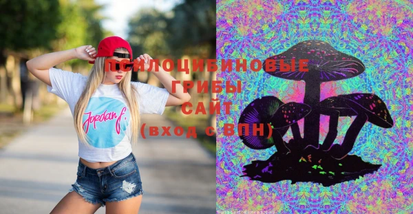 тгк Алзамай