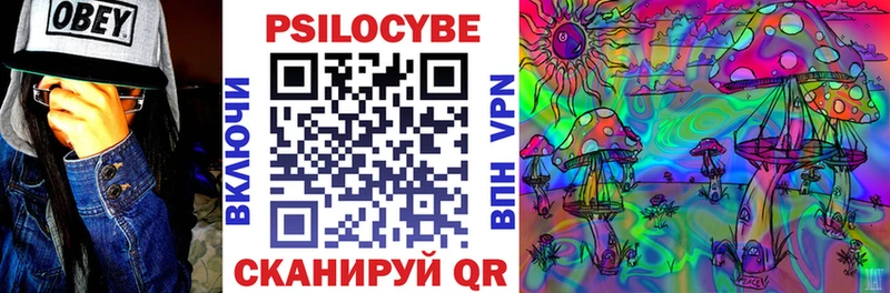 Галлюциногенные грибы Psilocybe  цена   Джанкой 